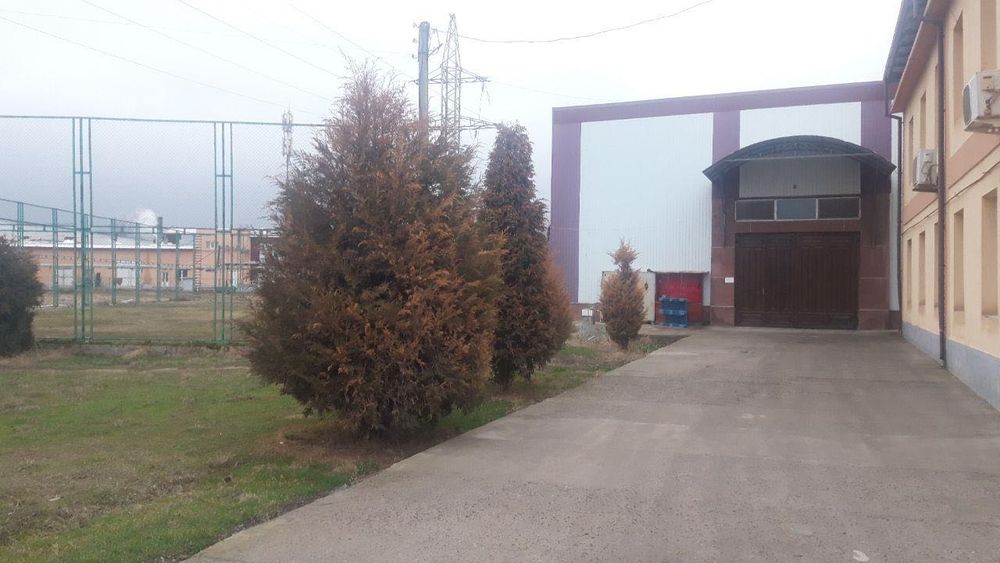 Продается Готовый Бизнес