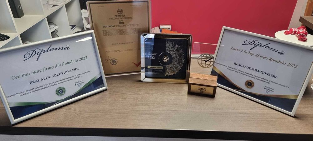 Gard metalic jaluzea | Suruburi ascunse | Bacau | Model 2025 |