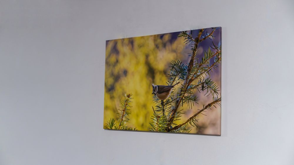 Tablou natura 70x50
