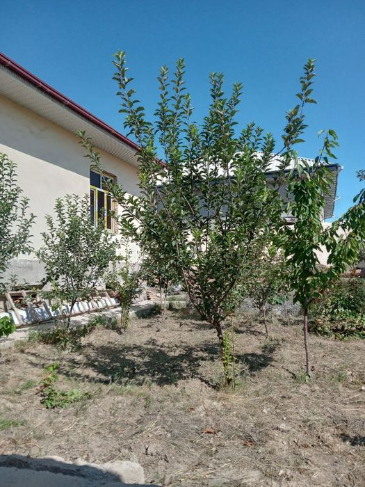 Navoiy shaxar Guliston 2 da Hovli turar joy