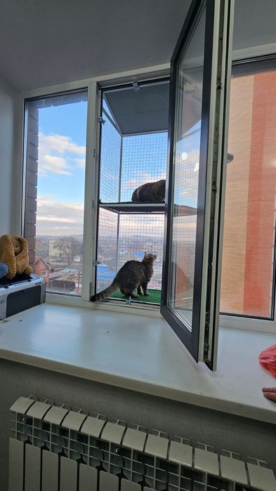 Балкон для кошек