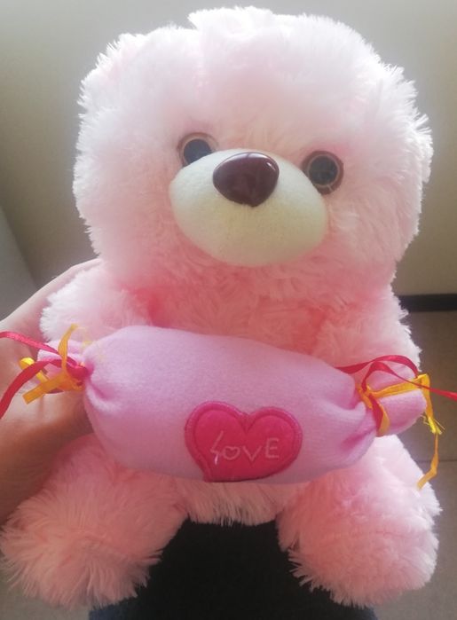 Две плюшени мечета