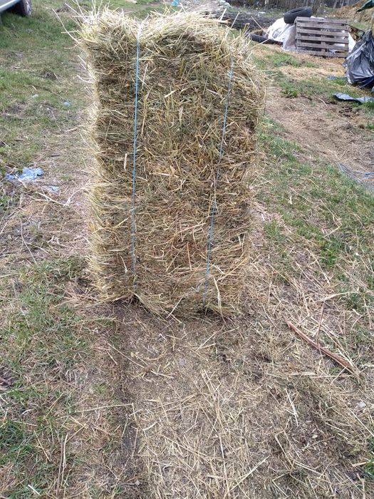 Baloti de fan de vanzare