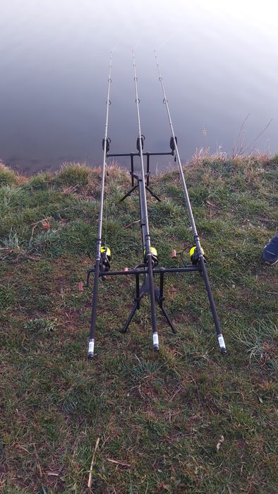 Rod pod Delphin bronx 2g