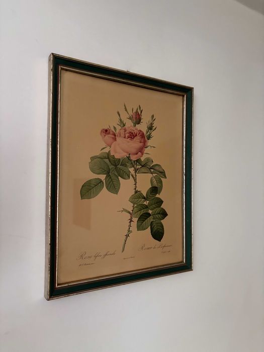 printul oficial La Redoute trandafir roz secolului 19 inramat