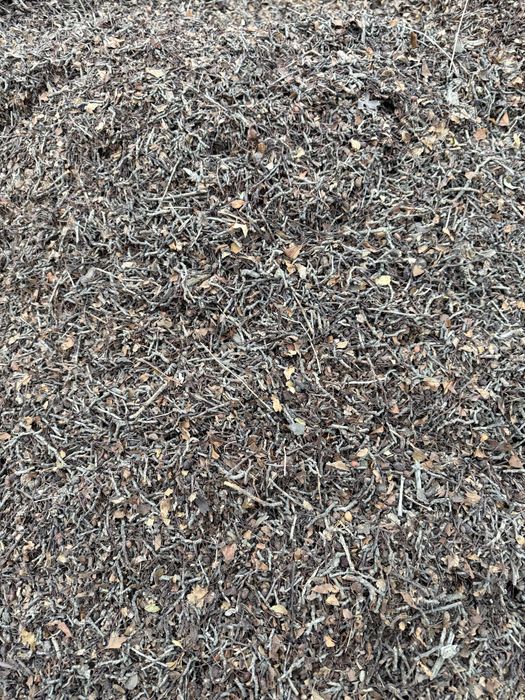 Otin Topondanam yaxshi yonadi