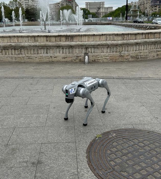 Caine robot pui de rasa digitala