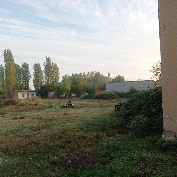 Уй чотилади 15 сотих