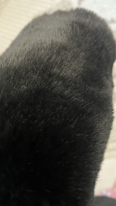 Пальто демисезон