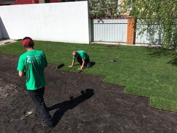 Оптом газон рулонный из первых рук.Цена за рулон*.Gazon optom narxda