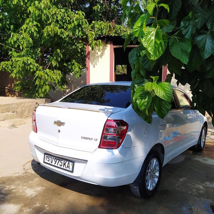 Cobalt mexanika sotiladi