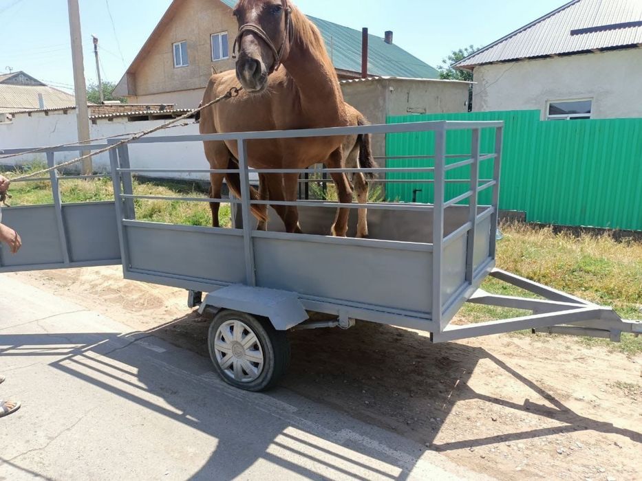 Авто прицеп сатылады