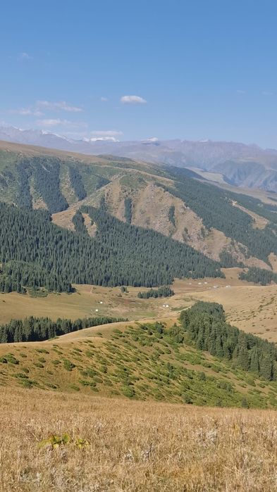 Туры Рыбалка, охота, выезд на природу.