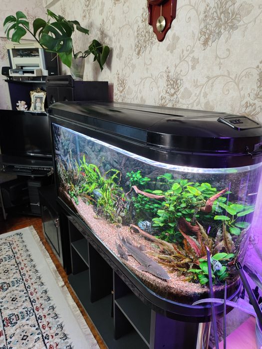 Продам Аквариум 350л.  И 36л.