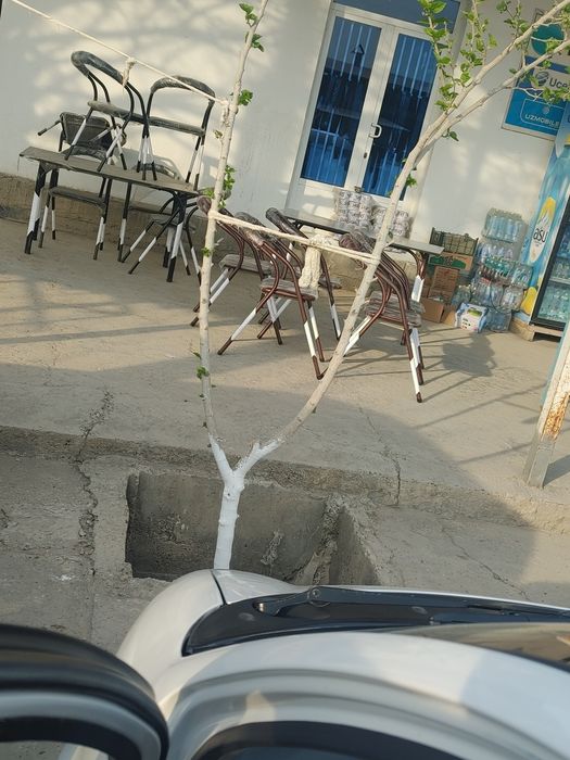 kreslo stol srulimiz