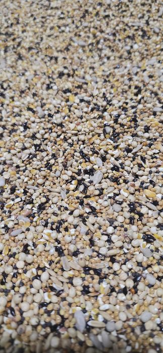 Корма и витамины для бедана