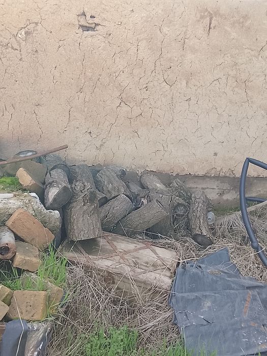 Otin sotiladi 1 moshina chiqadi