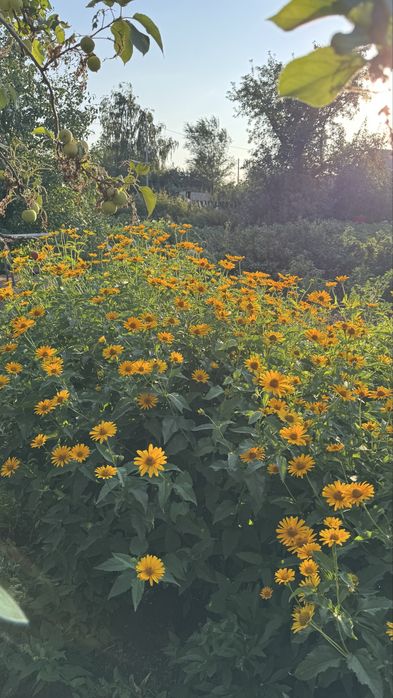 Продается дача Федоровка остановка Наука