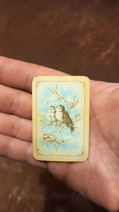 Jocuri de societate la set