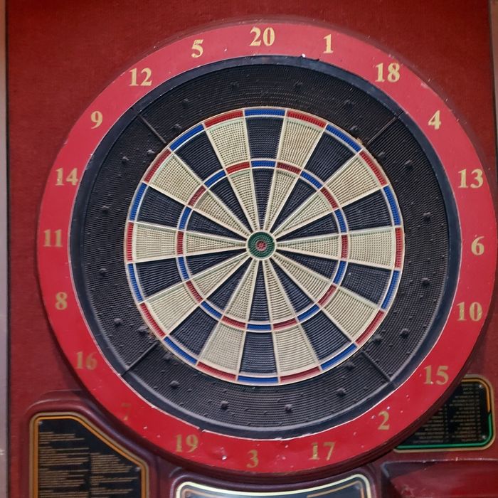 Дартс професионален/ Elit de presos