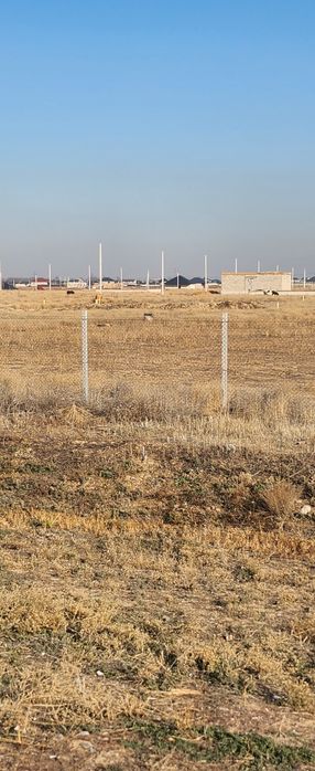 Кокозек вдоль БАКАДА