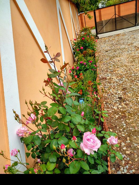 Casă de vînzare Malu Mare