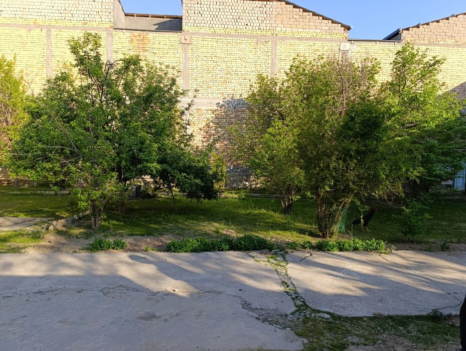 Uy, yer, hovli, дом, земля