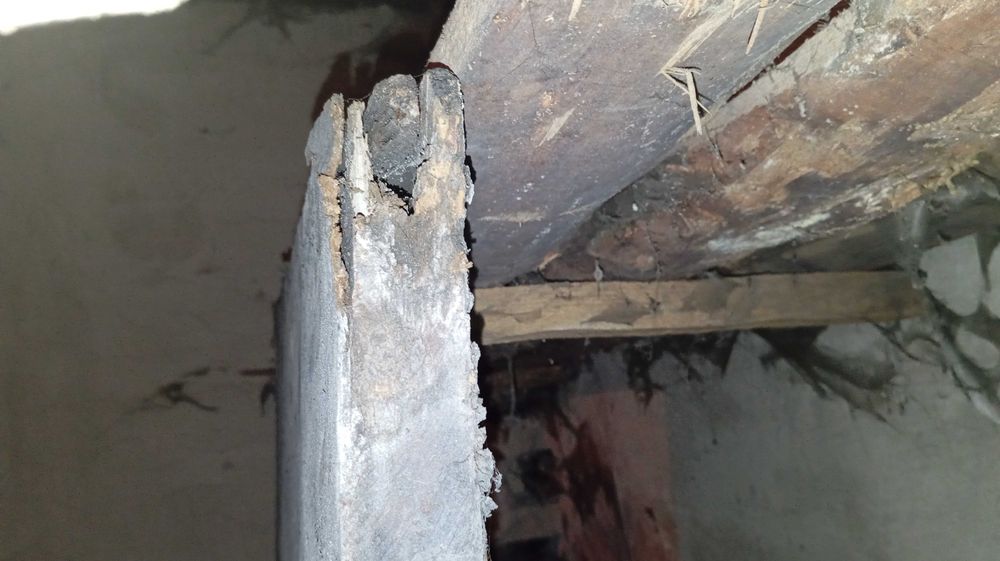 Деревянные подвальные двери