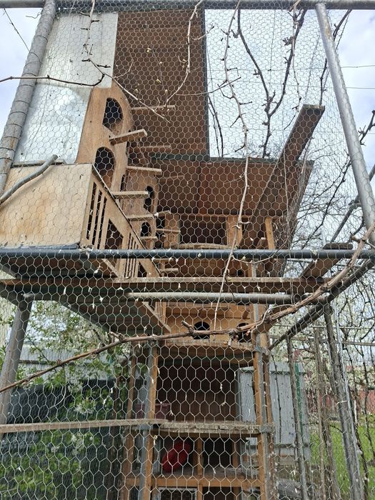 Voliera pasari de vanzare