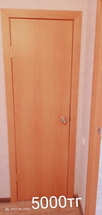 Дверь входной и межкомнатные