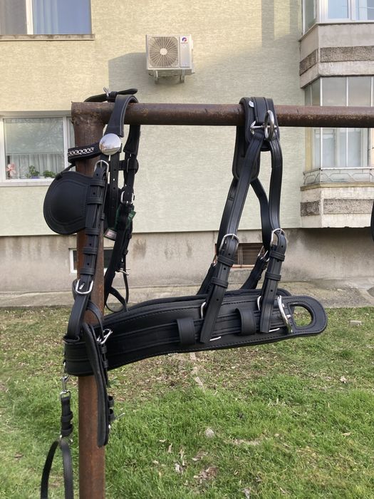 Амуниция за впряг