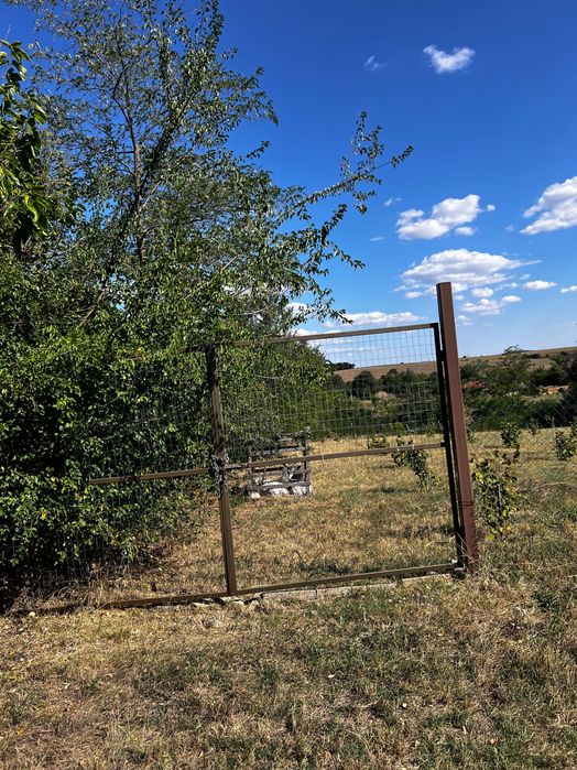 Продава се Парцел в с. Голям Поровец, Област Разград - 2631 кв.м за 10 €/кв.м - Снимка #2