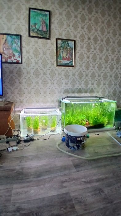 Аквариум с рыбками 60 л новый