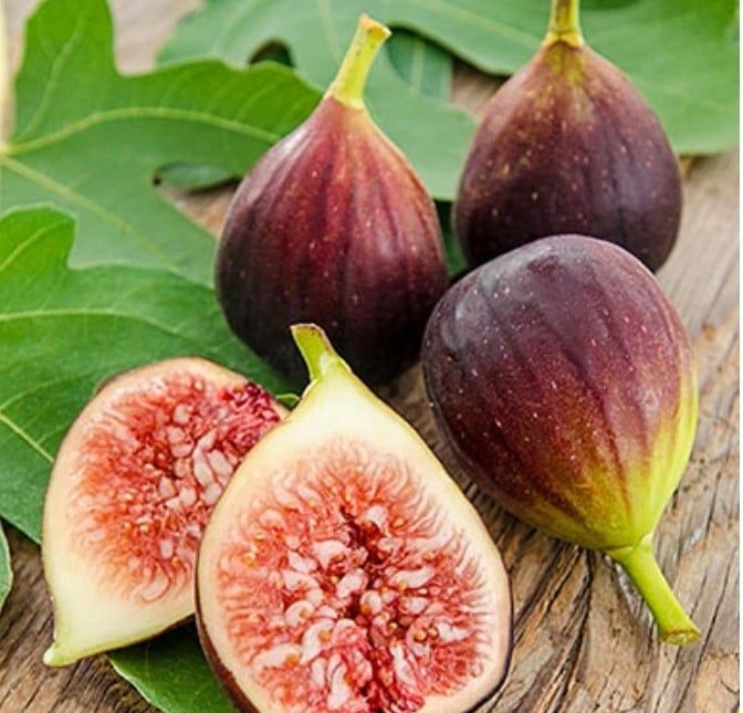 Oferta smochini bifer