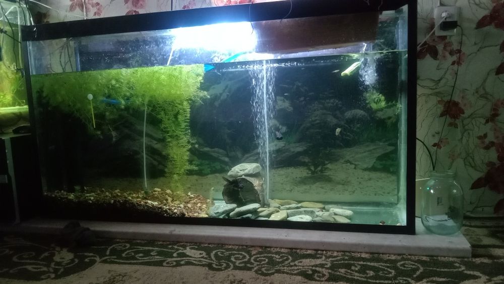 Аквариумы три штуки