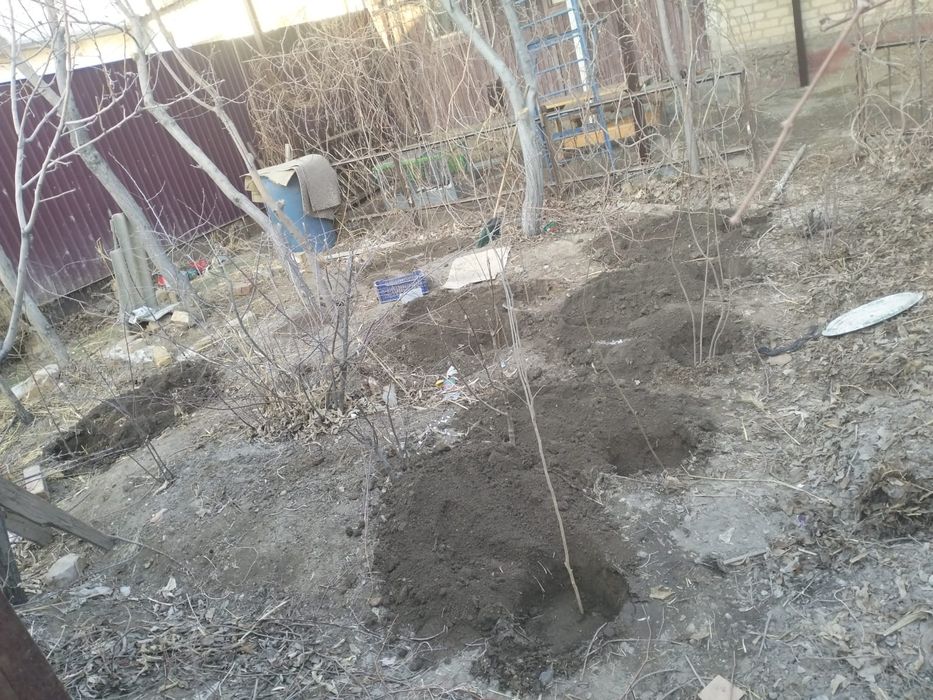 Биогумус в черте города Кызылорда