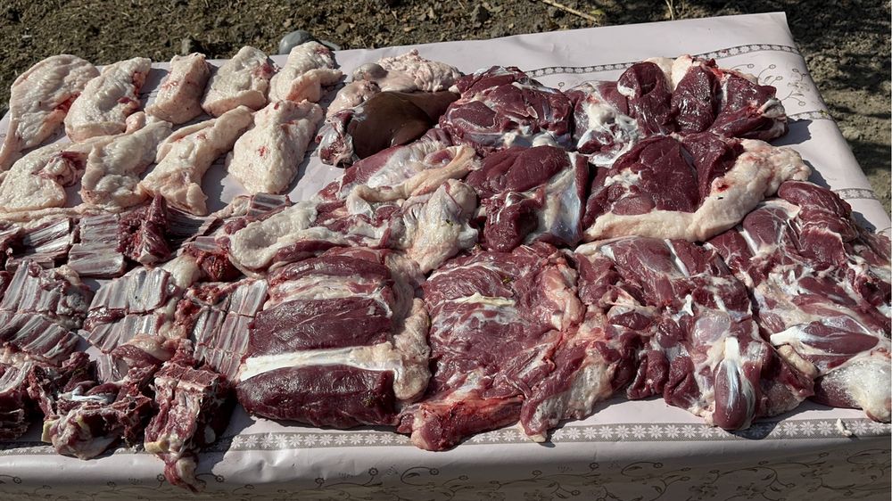 Qoʻylar Qoy sotiladi