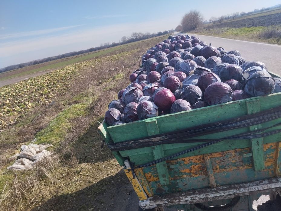 Продавам Червено Зеле!