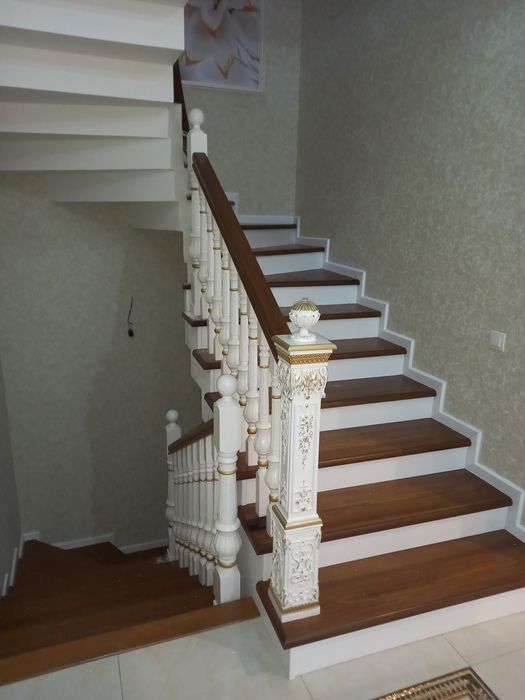 Zina poyalar lestvintsa