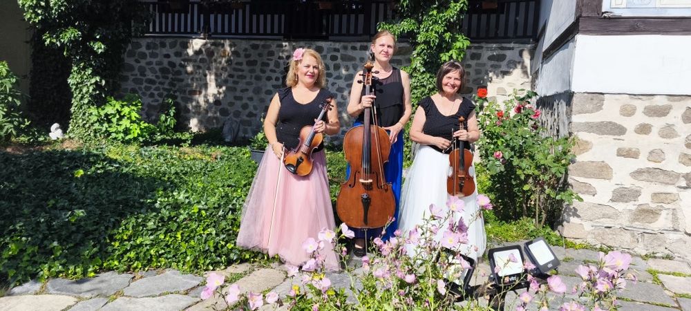 Соло цигулка, дуо, трио- изискана музика на живо