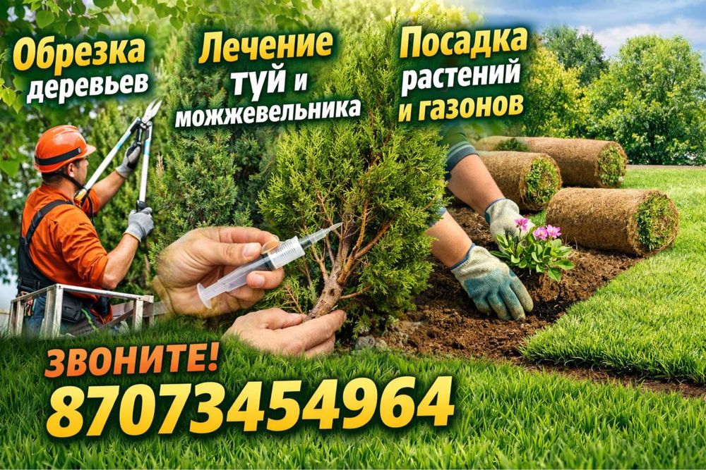 Обрезка деревьев