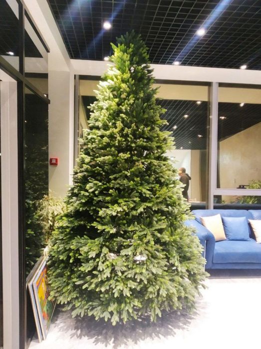 Ёлки новогодние с первых рук