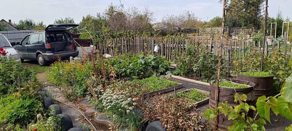 Продам дачный участок с домиком