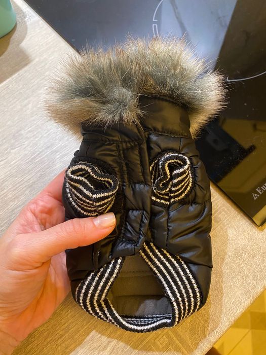 Дрешка за много малко кученце