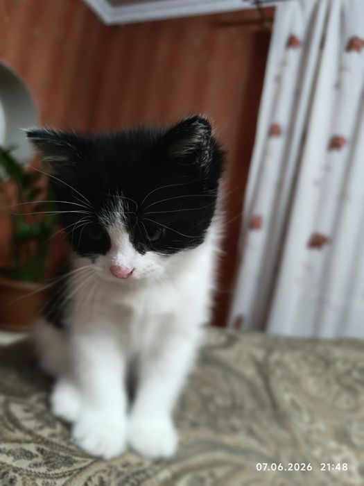 Маленькое  чудо.