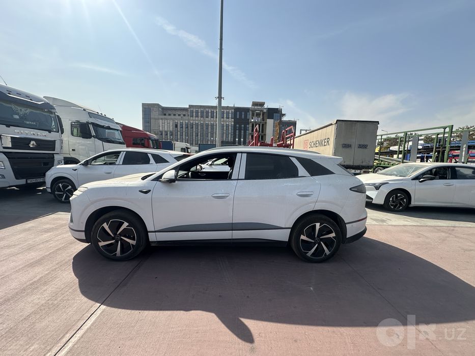 Byd champion 605km smart drive sealion 06