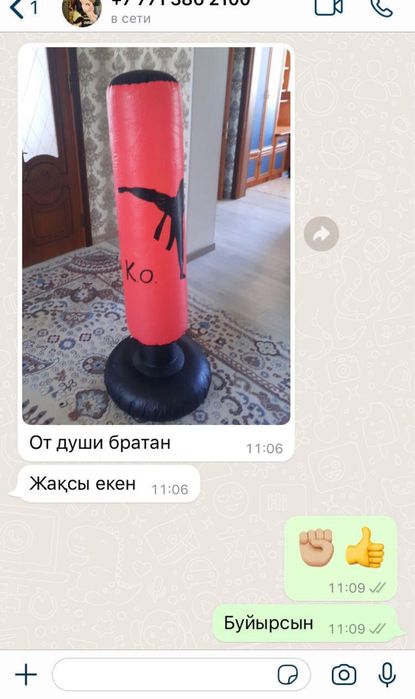 Боксерская груша. Чемпионский набор