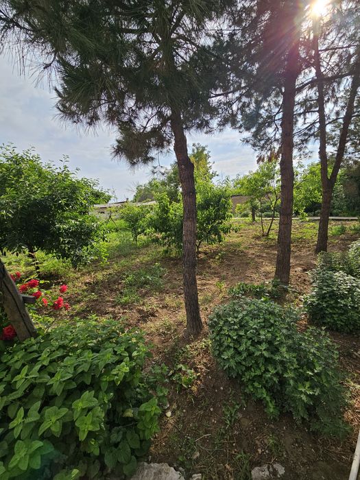 Продам свою дачу(24сотки) со всеми удобствами и постройками