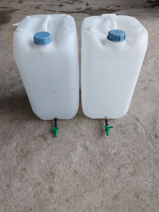 Ouă prepeliță pentru incubat