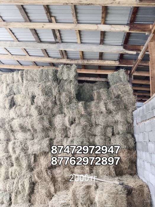 Продается сено ( клевер)